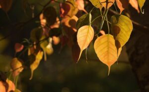 G4a958681662934f83abd2b5acad5ae52db9a586bbc5eb9853e7cc18103e6d633e15dd50cf965c8e1f7dbb86a59925ecbfadbc0cb5a8fdc0126f024619142effa 640